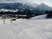 Buckelwiesen run
