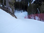 Easy forest run