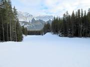 Easy slope Chinook