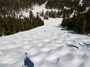 Mogul slope Grits