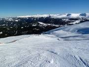Snowbowl downhill run