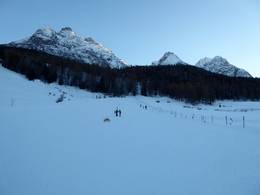 Tarasp