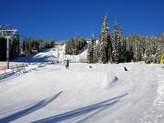 Green Terrain Park