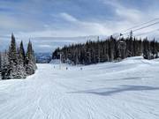 Easy slope Aunt Gladys