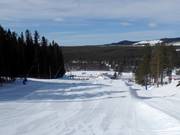 Blue Line