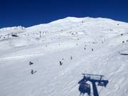 Slopes in Tonale