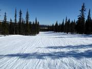 Easy slope No. 9