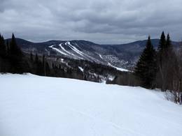 Stoneham