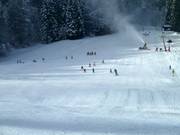 An ideal slope for beginners