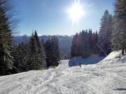 Family slope
