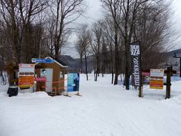 Stoneham