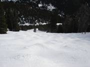 Mogul slope on the backside of the Lake Louise ski area
