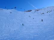 Very steep slope Kletterwand (here without grooming)