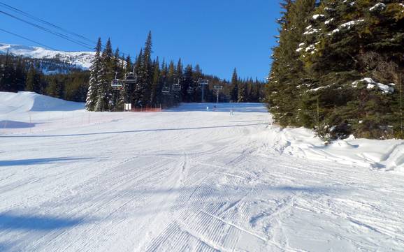 Slope offering Jasper National Park – Slope offering Marmot Basin – Jasper