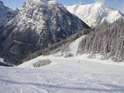 Zwölferkopf run