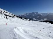 Slope No. 42 Triel