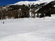 Perfect beginner slope
