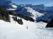 Difficult slope Chamois (Villars)