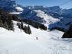 Ski resorts for advanced skiers and freeriding Magic Pass – Advanced skiers, freeriders Villars/Gryon/Les Diablerets