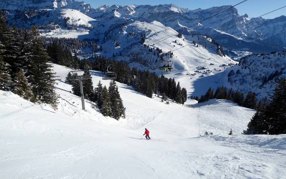 Ski resorts for advanced skiers and freeriding Waadt – Advanced skiers, freeriders Villars/Gryon/Les Diablerets
