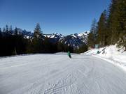 Sutten descent