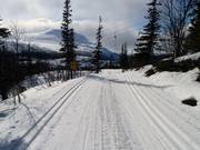 Dreamlike cross-country trails with views of the Gaustatoppen