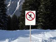 Forest areas must not be entered.