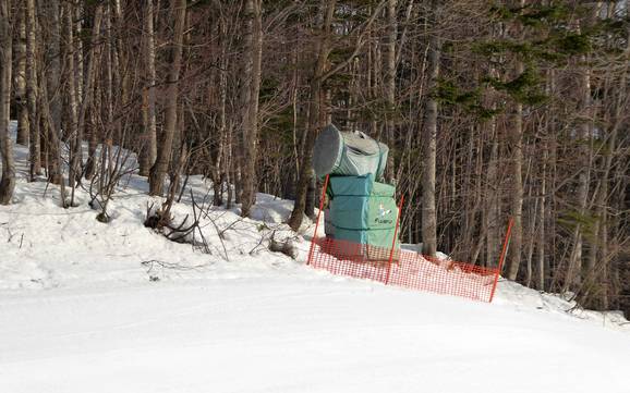 Snow reliability Prince Snow Resorts – Snow reliability Furano