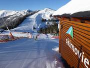 Skimovie run