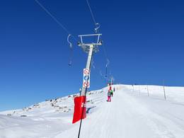 Laubkogel