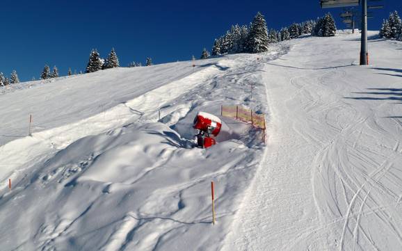 Snow reliability Laternsertal – Snow reliability Laterns – Gapfohl