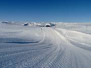 Fjellrypa downhill run