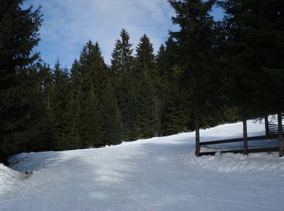 End of the ski run in the valley