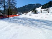 Ideal for beginners is the practice slope Ministreif