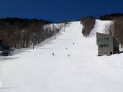 Mountain Run