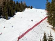 Intermediate slope Bamby
