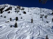 Powder slopes at Alp Surlej