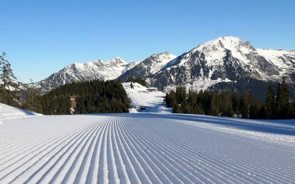 Slope preparation Dachstein-Salzkammergut – Slope preparation Dachstein West – Gosau/Russbach/Annaberg