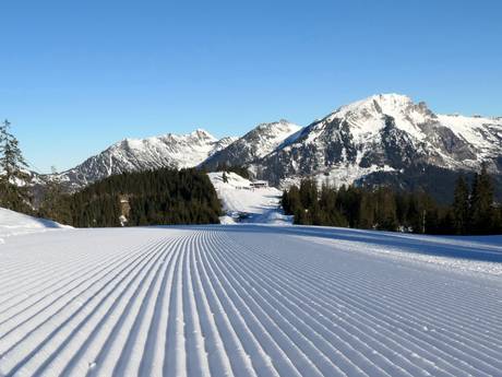 Slope preparation Dachstein Mountains – Slope preparation Dachstein West – Gosau/Russbach/Annaberg