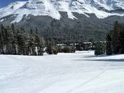Downhill Flap Jack