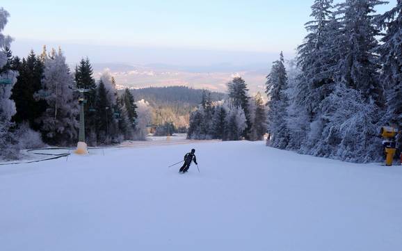 Slope offering Oberer Bayerischer Wald – Slope offering Hohenbogen – Neukirchen bei Hl. Blut