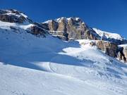 Slope No. 46 Busc