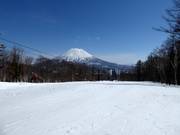 Easy slope Final Fling (Niseko Village)