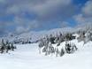 Indy Pass: size of the ski resorts – Size Big White
