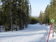 Slope Baldersbacken No. 14