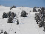 Gentianes - J-bar