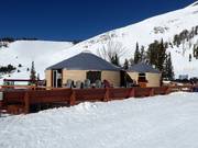 Shedhorn Grill