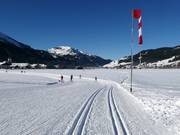 Cross-country trails in Tannheim