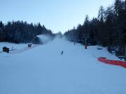 Ski slope at Mendel Pass
