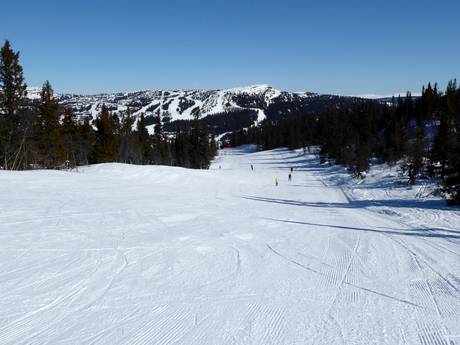 Slope offering Lillehammer – Slope offering Kvitfjell